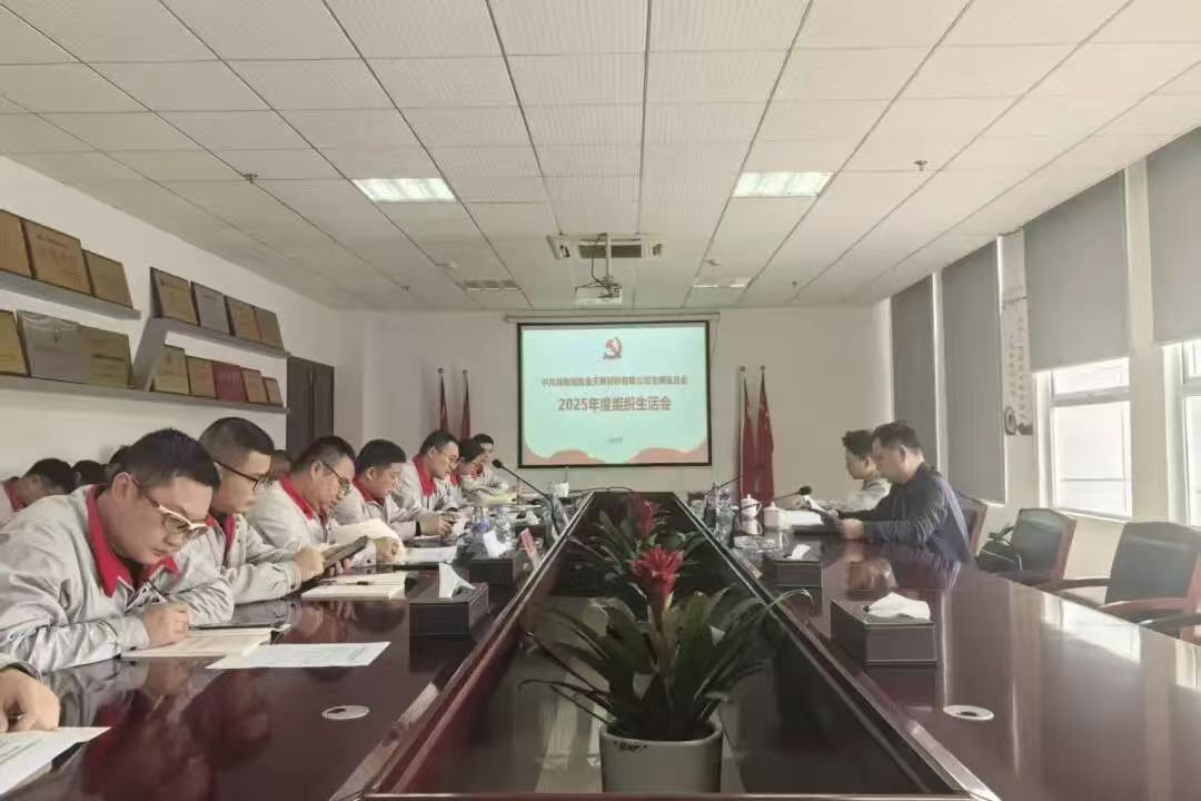 金天新材党支部召开2025年度组织生活会